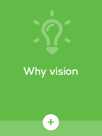 Why vision